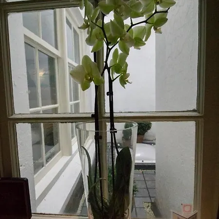 City-Centre cozy&comfortable apartment * Ámsterdam